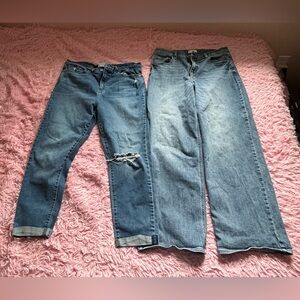 Levi’s and Studio Blues Jeans Pair - Light & Medium Wash